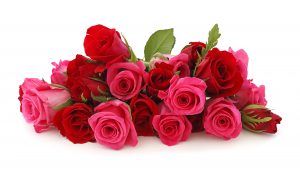 Florist Choice - Image 3