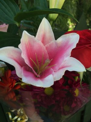 Mother's Love - Image 9