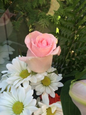 Mother's Love - Image 10
